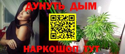 спайс Аргун