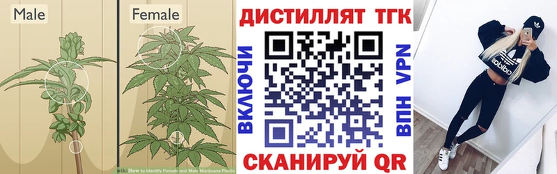 блэк спрут онион  Владивосток  Дистиллят ТГК концентрат  купить наркотики цена 