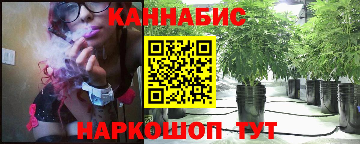 Владивосток  Канабис VHQ  Бошки Шишки планчик  Вход с VPN 